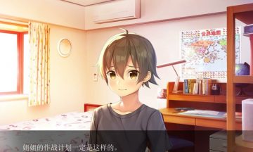 【汉化硬盘】请停手吧姐姐大人！要断了