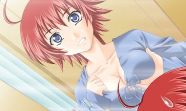 【PC/云翻】阴阳！X转换物语