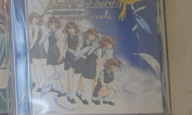 【游戏音声】flutter of birds ～鳥達の羽ばたき～