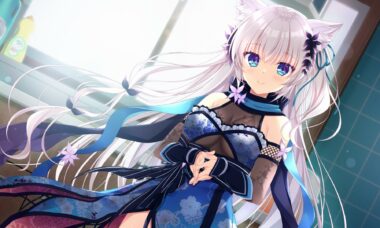 【PC/云翻】猫忍之心SPIN！2