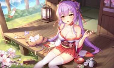 【PC/官中】樱姬4+5