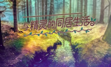 【双端/官中】与精灵的同居生活