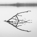 纯爱鉴定师-反牛战士